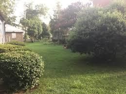 Deanwood Views